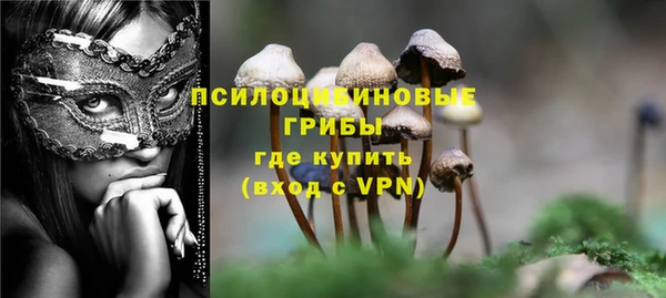 дживик Липки
