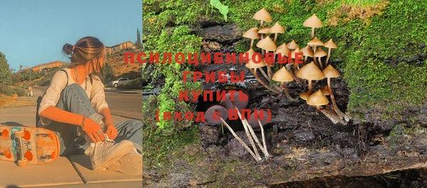 тгк Заводоуковск