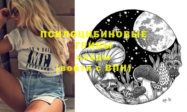 тгк Заводоуковск